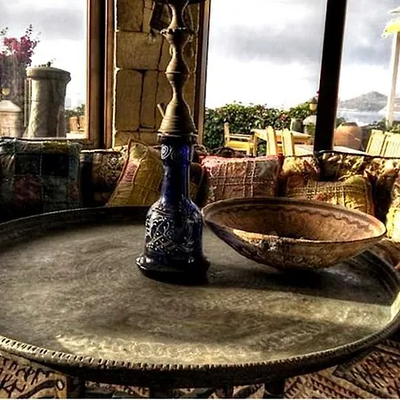 تمارا 4* كاس